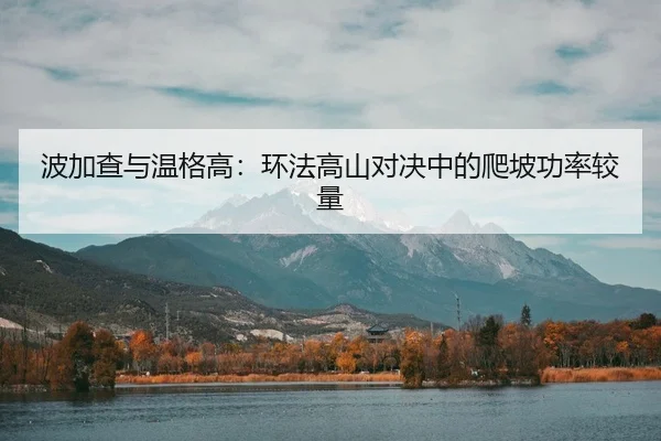 波加查与温格高：环法高山对决中的爬坡功率较量