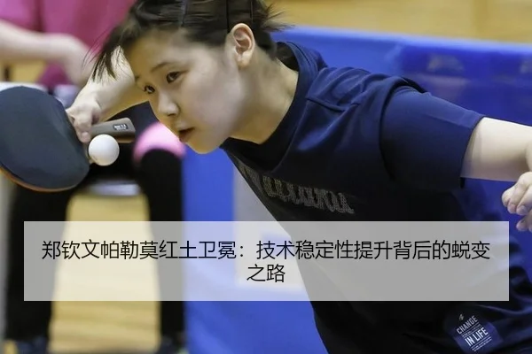 zheng-qin-wen-pa-lei-mo-hong-tu-wei-mian-ji-shu-wen-ding-xing-ti-sheng-bei-hou-de-tui-bian-zhi-lu-3-582.jpg