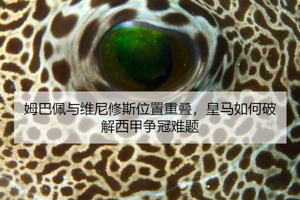 姆巴佩与维尼修斯位置重叠，皇马如何破解西甲争冠难题