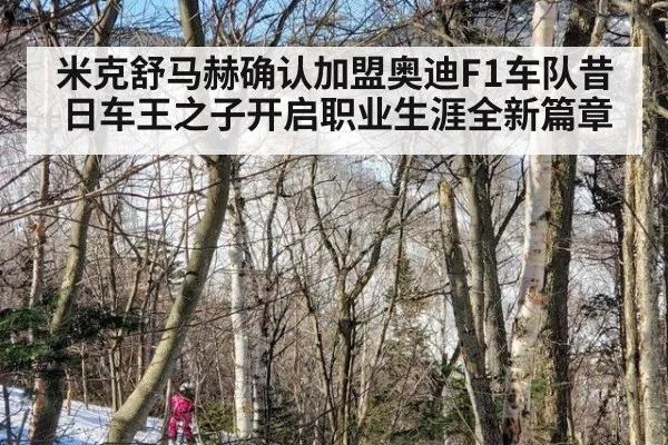 米克舒马赫确认加盟奥迪F1车队昔日车王之子开启职业生涯全新篇章