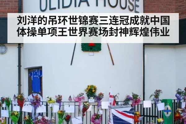 刘洋的吊环世锦赛三连冠成就中国体操单项王世界赛场封神辉煌伟业