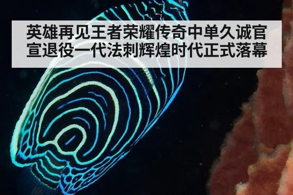英雄再见王者荣耀传奇中单久诚官宣退役一代法刺辉煌时代正式落幕
