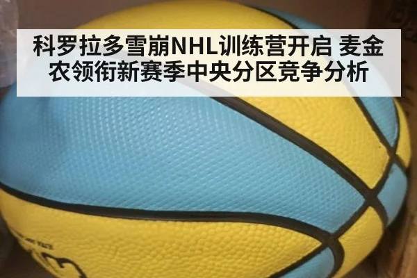 科罗拉多雪崩NHL训练营开启 麦金农领衔新赛季中央分区竞争分析