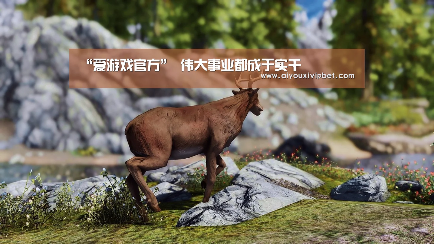 爱游戏APP