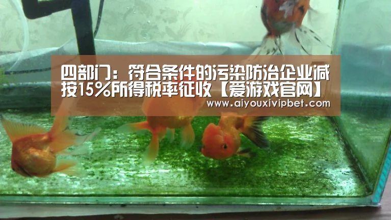 爱游戏APP