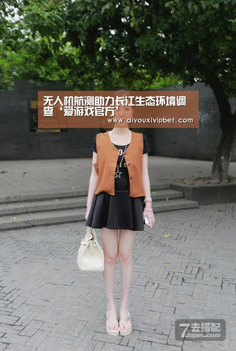 无人机航测助力长江生态环境调查‘爱游戏官方’(图4) 爱游戏官网